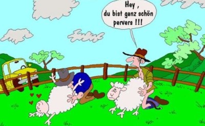 schaaf.JPG